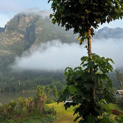 ירוק ושקט בלואנג פראבנג לאוס וסביבתה